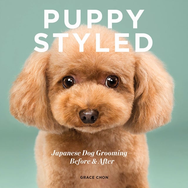 Puppy Styled – Japanese Dog Grooming: Before & After - Japanese Dog Grooming: Before & After