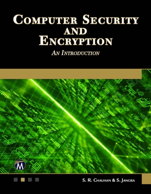 Computer Security and Encryption - An Introduction