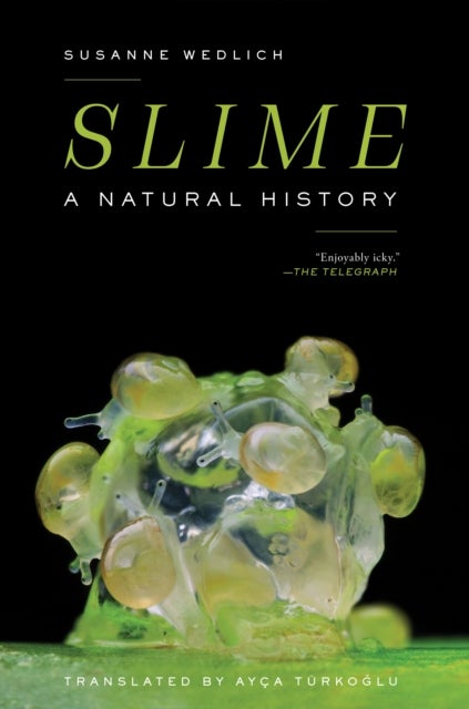 Slime - A Natural History