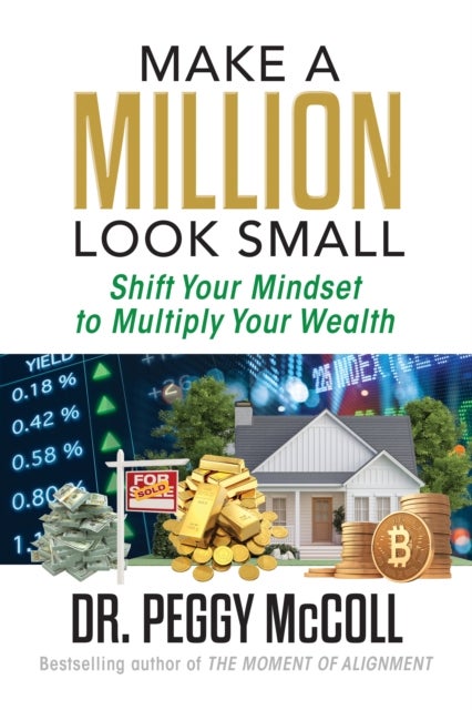 Make a Million Look Small - Shift Your Mindset to Multiply Your Wealth