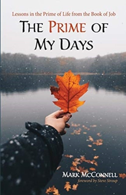 The Prime of My Days - Lessons in the Prime of Life from the Book of Job