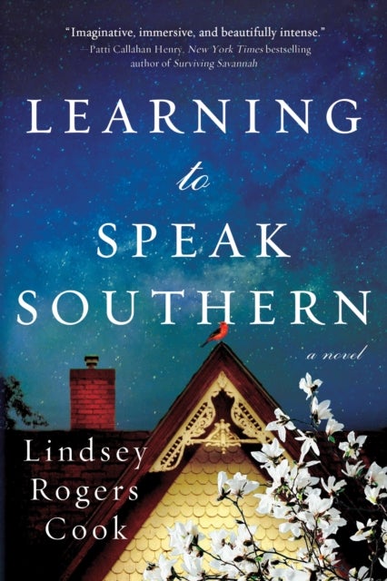 Learning to Speak Southern - A Novel