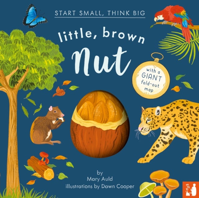 Little, Brown Nut - A fact-filled picture book about the life cycle of the Brazil nut tree, with fold-out map of the Amazon rainforest (ages 4-8)