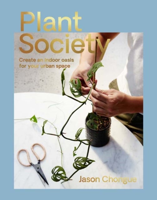 Plant Society - Create an Indoor Oasis for Your Urban Space