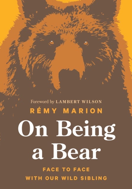 On Being a Bear - Face to Face with Our Wild Sibling