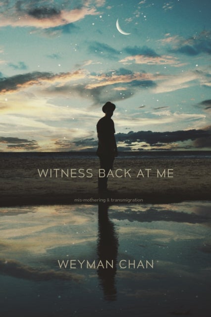 Witness Back at Me - mis-mothering & transmigration