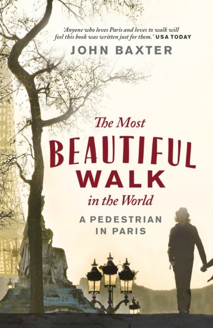 Most Beautiful Walk in the World - A Pedestrian in Paris