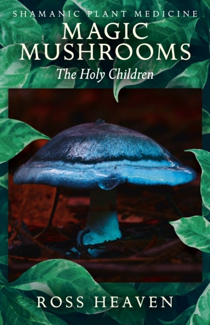 Shamanic Plant Medicine – Magic Mushrooms: The Holy Children