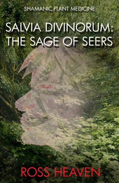 Shamanic Plant Medicine - Salvia Divinorum - The Sage of the Seers