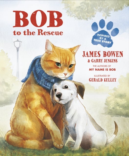 Bob to the Rescue - An Illustrated Picture Book