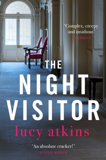 The Night Visitor - the gripping thriller from the author of Magpie Lane
