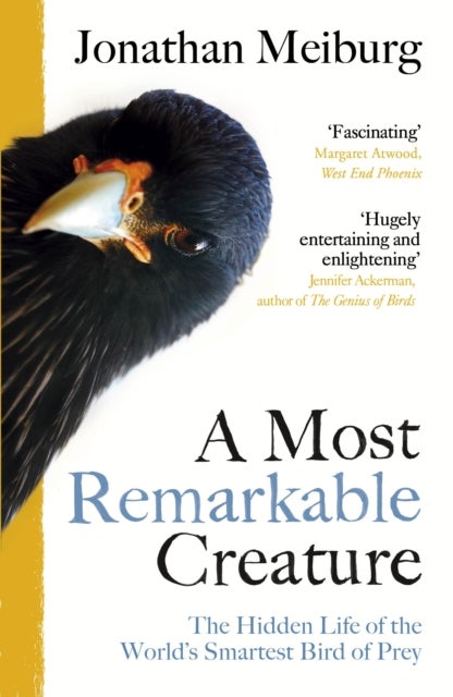 A Most Remarkable Creature - The Hidden Life of the World’s Smartest Bird of Prey