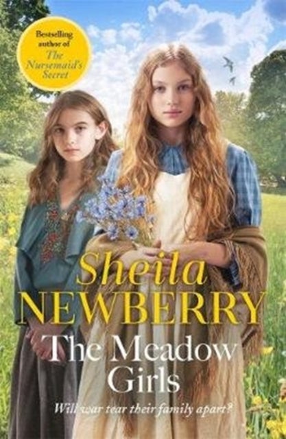 The Meadow Girls - A heartwarming World War I saga