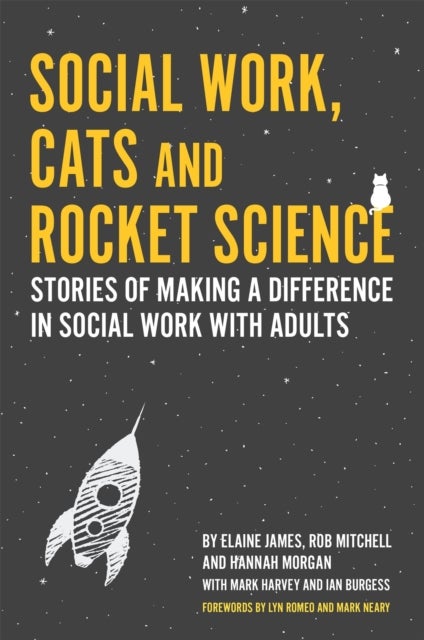 Social Work, Cats and Rocket Science - Stories of Making a Difference in Social Work with Adults