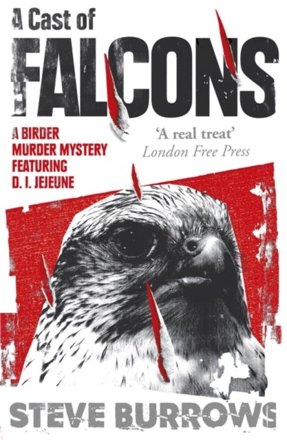 A Cast of Falcons - A Birder Murder Mystery