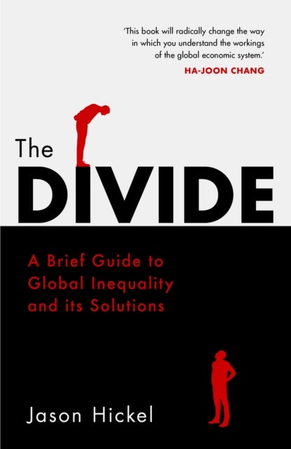 Divide - A Brief Guide to Global Inequality and its Solutions