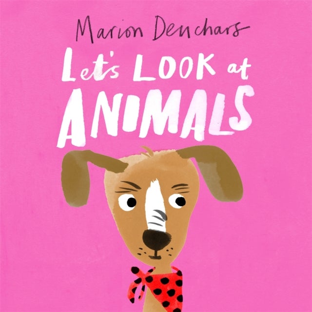 Let's Look at... Animals - Board Book