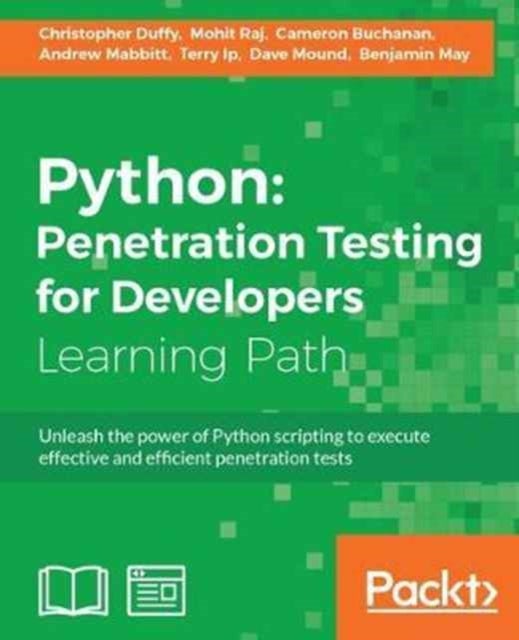 Python - Execute effective tests to identify software vulnerabilities