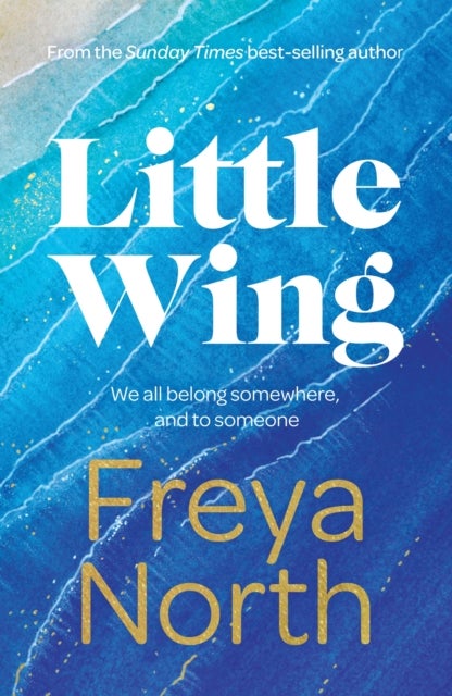 Little Wing - A beautifully written, emotional and heartwarming story