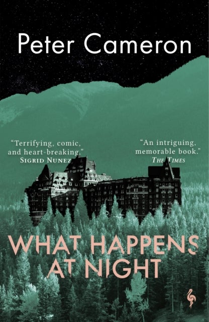 What Happens at Night - A novel