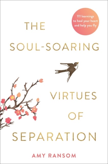 Soul-Soaring Virtues of Separation - 111 Learnings to Heal Your Heart and Help You Fly