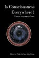 Is Consciousness Everywhere?