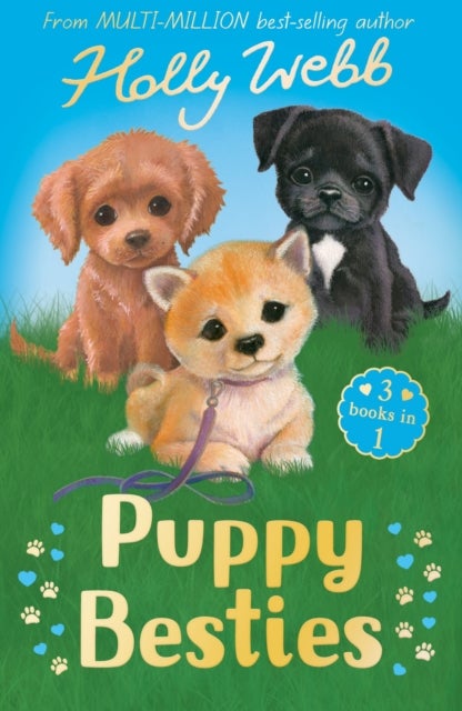 Puppy Besties - The Puppy Who Ran Away, The Puppy Who Couldn't Sleep, The Forgotten Puppy