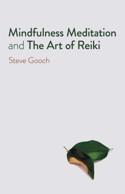 Mindfulness Meditation and The Art of Reiki – The Road to Liberation - The Road to Liberation