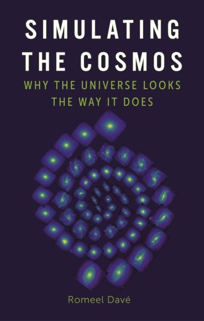 Simulating the Cosmos – Why the Universe Looks the Way It Does - Why the Universe Looks the Way It Does