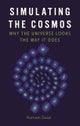 Simulating the Cosmos – Why the Universe Looks the Way It Does