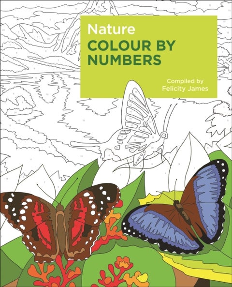 Nature Colour by Numbers - Arcturus Colour by Numbers Collection
