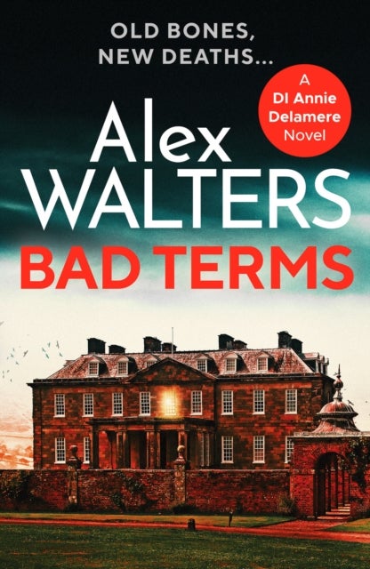Bad Terms - A page-turning British detective crime thriller