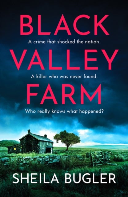 Black Valley Farm - An absolutely unputdownable crime thriller