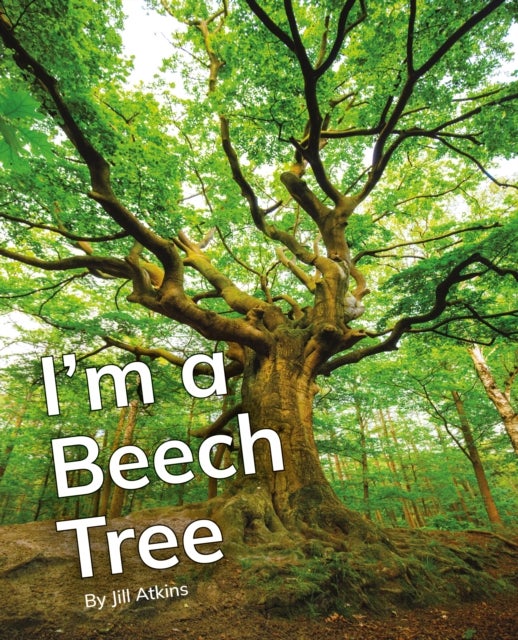 I''m a Beech Tree