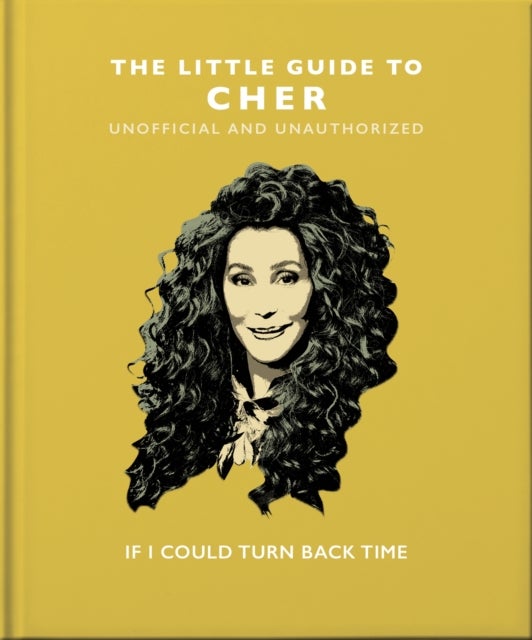 Little Guide to Cher - If I Could Turn Back Time