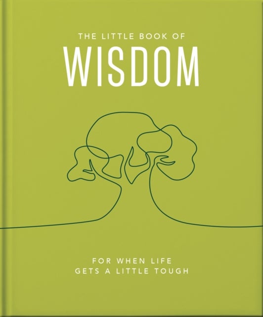 Little Book of Wisdom - For when life gets a little tough