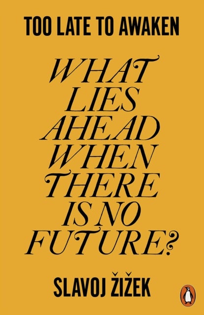 Too Late to Awaken - What Lies Ahead When There is No Future?