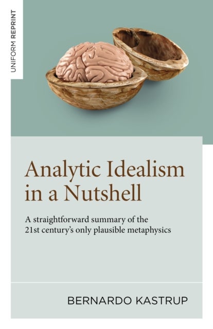 Analytic Idealism in a Nutshell - A straightforward summary of the 21st century's only plausible metaphysics