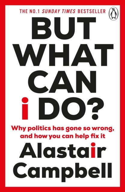 But What Can I Do? - Why Politics Has Gone So Wrong, and How You Can Help Fix It