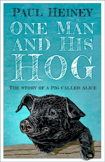 One Man and His Hog - The Story of a Pig Called Alice