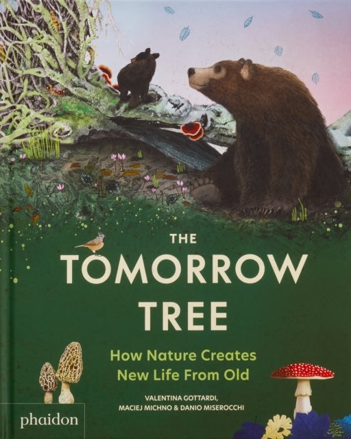 The Tomorrow Tree - How Nature Creates New Life From Old