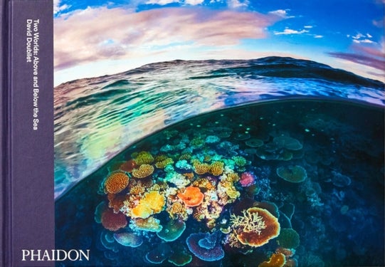 Two Worlds - Above and Below the Sea