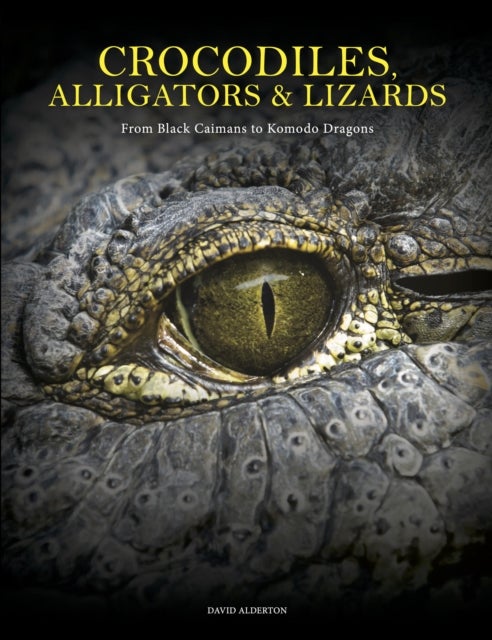 Crocodiles, Alligators & Lizards - From Black Caimans to Komodo Dragons
