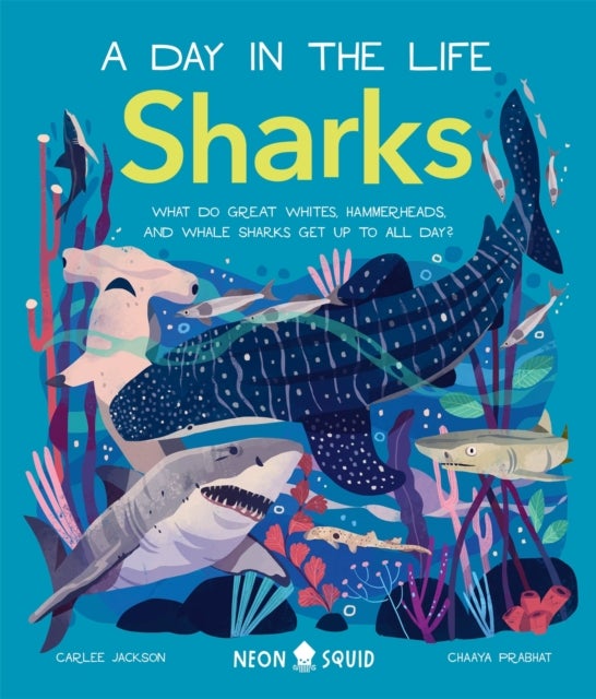 Sharks (A Day in the Life) - What Do Great Whites, Hammerheads, and Whale Sharks Get Up To All Day?