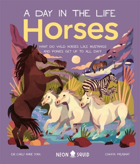 Horses (A Day in the Life) - What Do Wild Horses like Mustangs and Ponies Get Up To All Day?