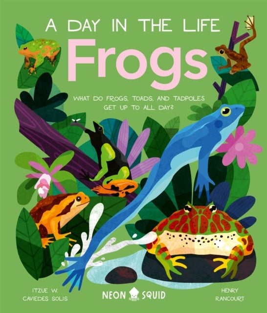 Frogs (A Day in the Life) - What Do Frogs, Toads, and Tadpoles Get Up to All Day?