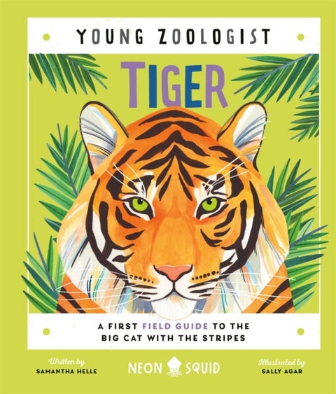 Tiger (Young Zoologist) - A First Field Guide to the Big Cat with the Stripes