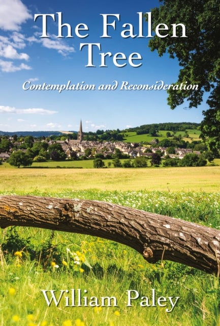 The Fallen Tree - Contemplation and Reconsideration