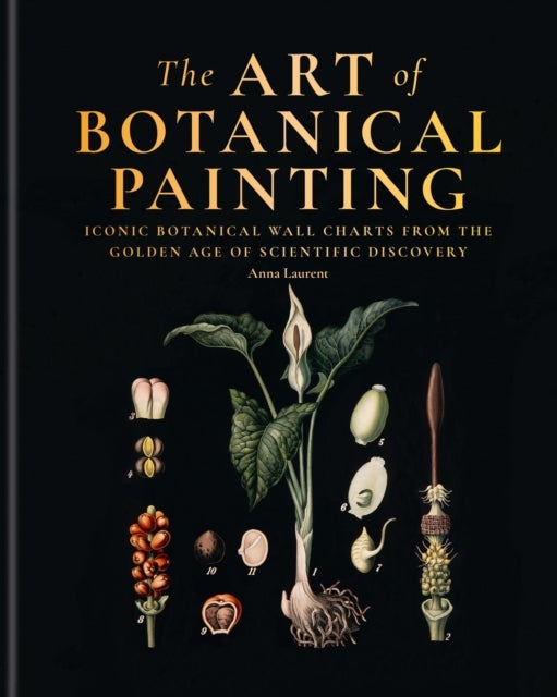 The Art of Botanical Painting - Iconic botanical wall charts from the golden age of scientific discovery