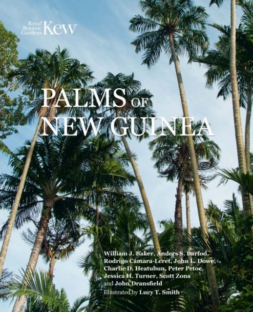 Palms of New Guinea